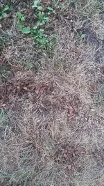 20190902_154506.webp