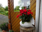 DSC00626.JPG