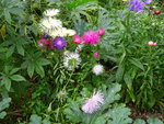 DSC00627.JPG