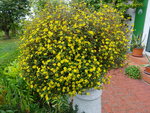 DSC00631.JPG