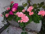 DSC00633.JPG