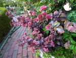 DSC00634.JPG