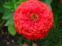 DSC00630.webp