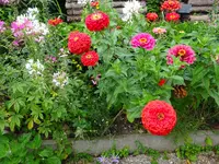 DSC00629.JPG