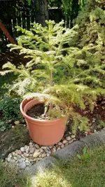 IMG_20190903_094507408.webp