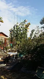 2019-09-03 10.38.38.webp