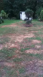 20190903_092037.webp 20190903_092037.webp