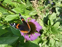 03_09_2019_Faltert (1).webp