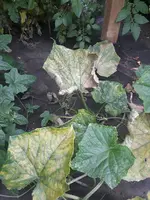 20190903_144837.webp