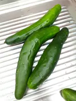 20190903_150010.webp
