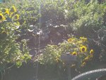 IMG_20190903_173737.jpg