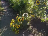 IMG_20190903_173739.webp