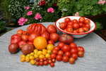 Sept.   0119.JPG