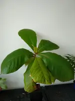 IMG_20190906_141225.webp