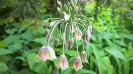 DSCN2809.webp