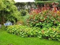 DSCF2781 (2).webp