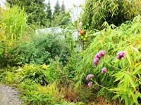 DSCF2782 (2).webp