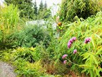 DSCF2782 (2).JPG