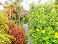 DSCF2784 (2).webp