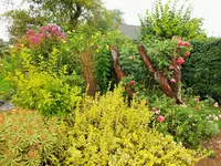DSCF2793 (2).webp