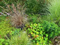 DSCF2796 (2).webp