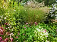 DSCF2802 (2).webp