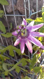 IMAG0903.webp