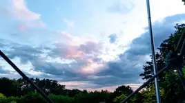 IMAG0790.webp