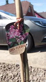 IMG-20190804-WA0005.webp