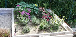 IMG-20190825-WA0022.webp