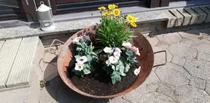 IMG-20190825-WA0023.webp