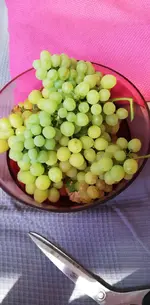 IMG-20190825-WA0000.webp