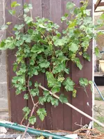 IMG-20190714-WA0003.webp