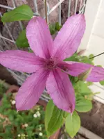 IMG-20190525-WA0003.webp