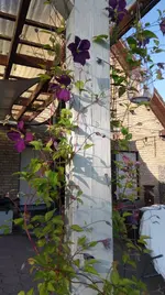 IMG-20190601-WA0020.webp