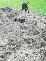IMG-20190819-WA0023.webp