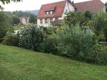 2019-08-24 Wildhecke2.JPG