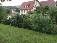 2019-08-24 Wildhecke2.webp