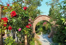 DSCF2772 (2).webp
