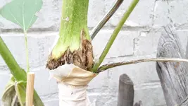20190908_175316.webp