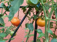 20190907_131531_resized.webp