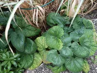 2019nbknnt08.webp 2019nbknnt08.webp