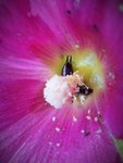 DSCF2825 (2).JPG