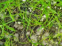 20190910_103753.webp