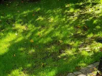 20190910_103811.webp