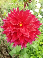 20190909_110624.webp
