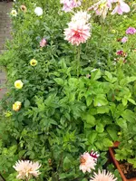 20190909_110522.webp
