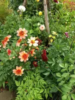20190909_110432.webp