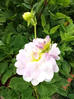 20190909_110538.webp