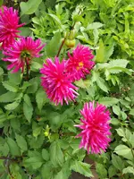20190909_110446.webp